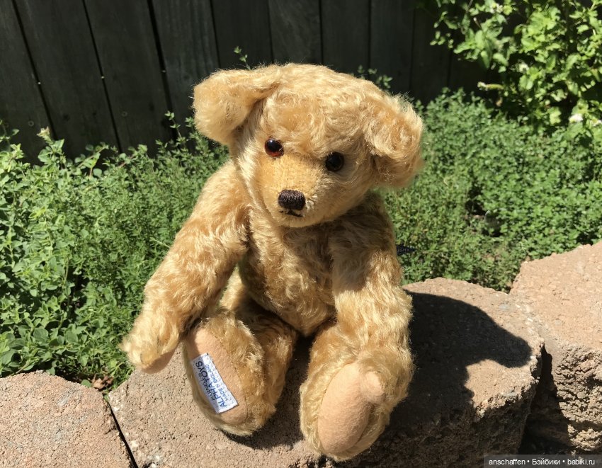 Мишутки и Со, часть 1: Мишка Эдвард