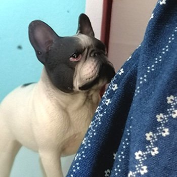 А тем временем в домике