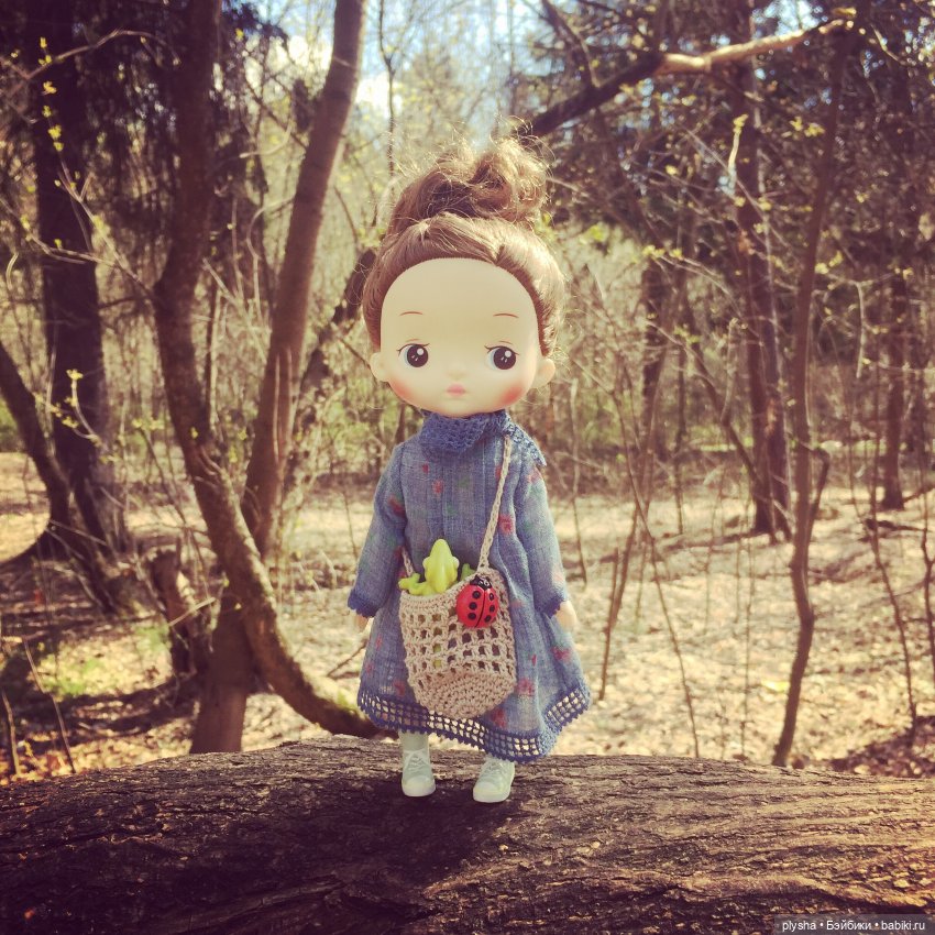 Прекрасная Зайка — Куклы Holala (Холала) от Jenny Fairytown: Pipita (фото 6)