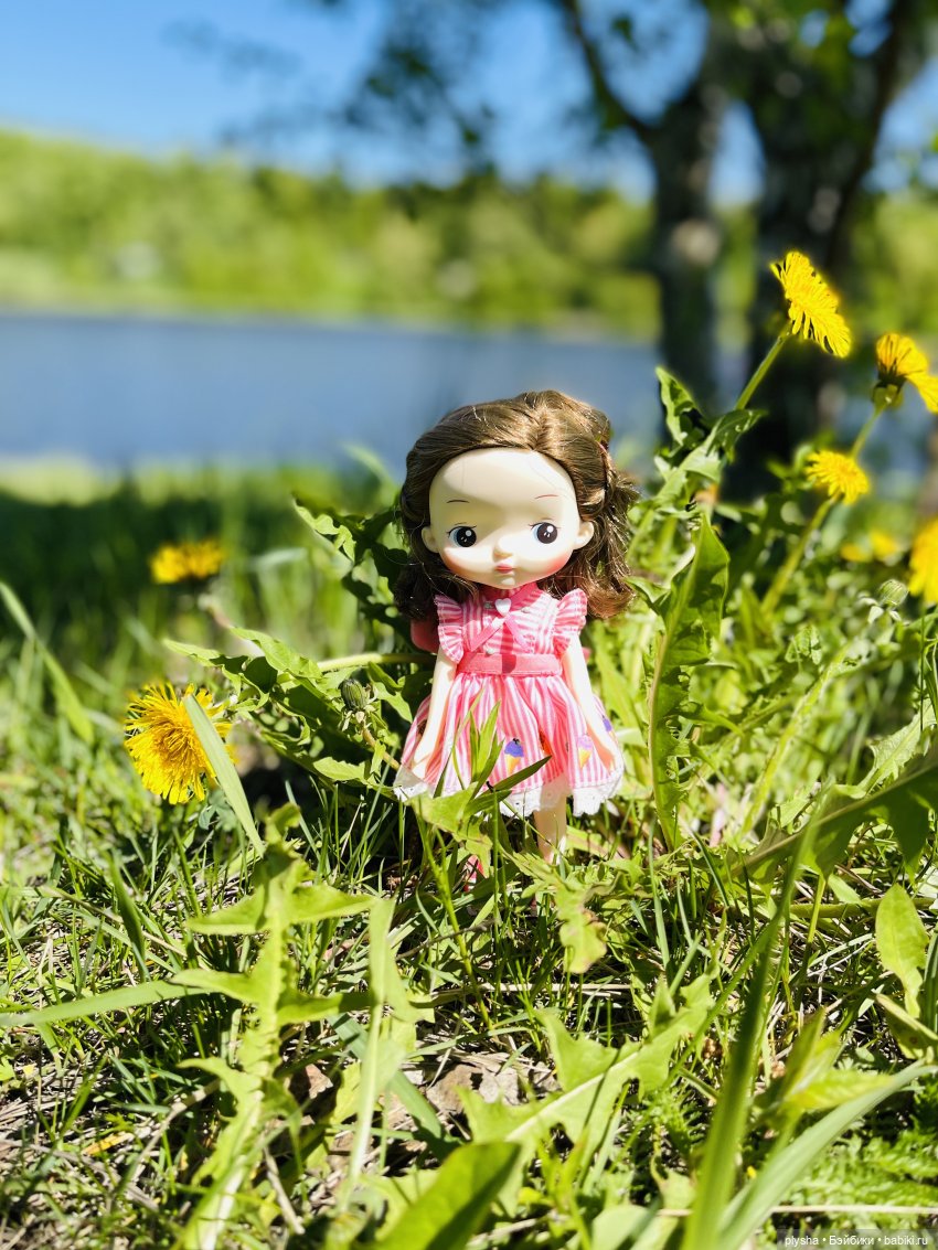 Прекрасная Зайка — Куклы Holala (Холала) от Jenny Fairytown: Pipita (фото 7)