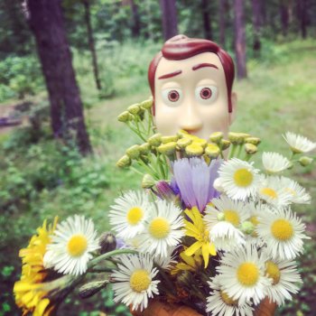 Красавчик Вуди