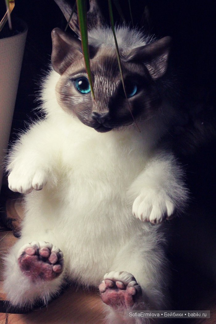 Кот Тимофей — Игрушки в смешанной технике (мех и глина): Арт (фото 4)