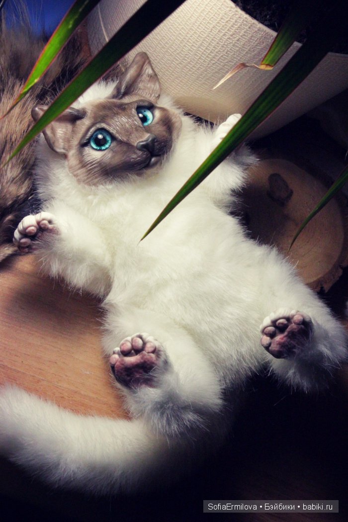 Кот Тимофей — Игрушки в смешанной технике (мех и глина): Арт (фото 3)