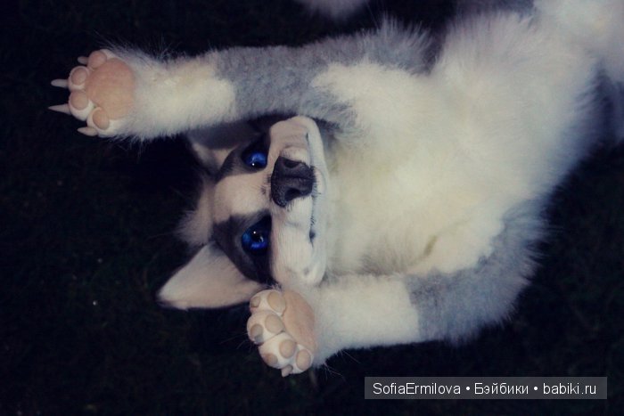 Лис, окрас платина — Игрушки в смешанной технике (мех и глина): Арт (фото 4)