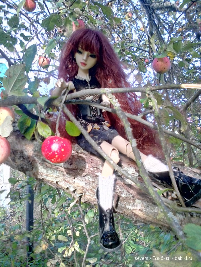 Осенние настроение — Куклы Resinsoul (Резинсоул) и Bobobie: BJD (БЖД) (фото 8)