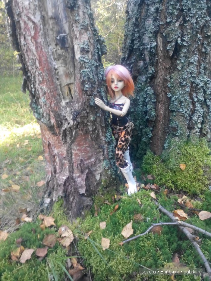 Осенние настроение — Куклы Resinsoul (Резинсоул) и Bobobie: BJD (БЖД)