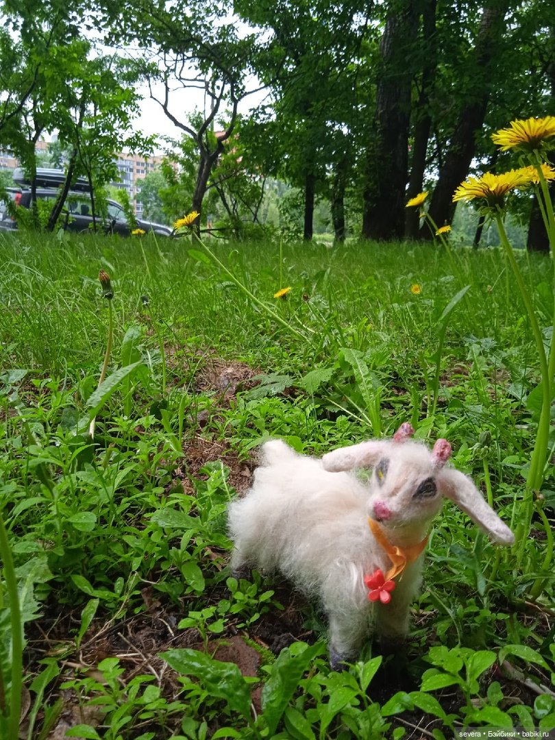 Мои игрушки из шерсти козочка (фото 4)