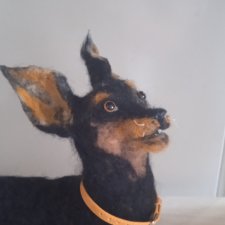 пинчер  ищет дом