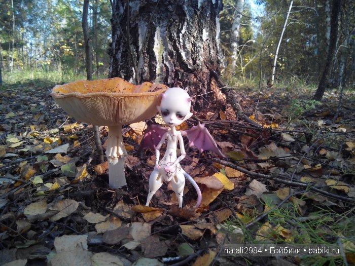 Мухоморная осень — Куклы Doll Chateau (Доллшато): BJD (БЖД) (фото 9)