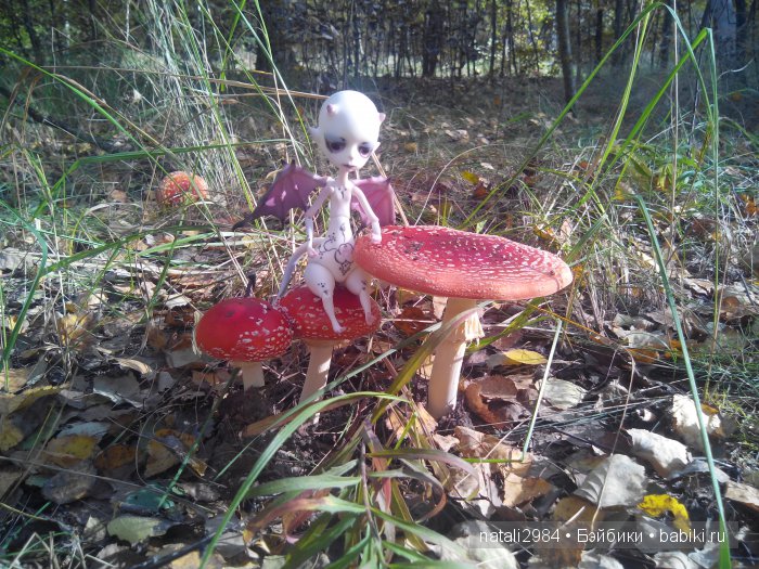 Мухоморная осень — Куклы Doll Chateau (Доллшато): BJD (БЖД) (фото 3)