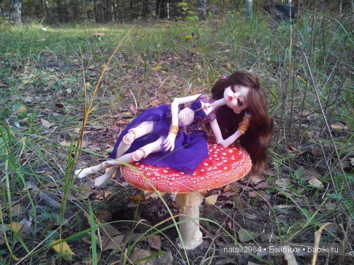 Мухоморная осень — Куклы Doll Chateau (Доллшато): BJD (БЖД) (фото 5)