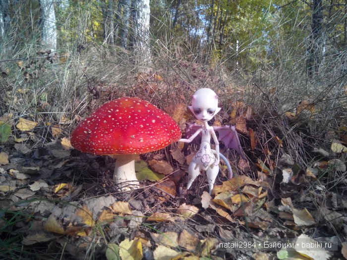 Мухоморная осень — Куклы Doll Chateau (Доллшато): BJD (БЖД) (фото 2)