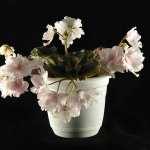 Еще немного о сумасшествии...