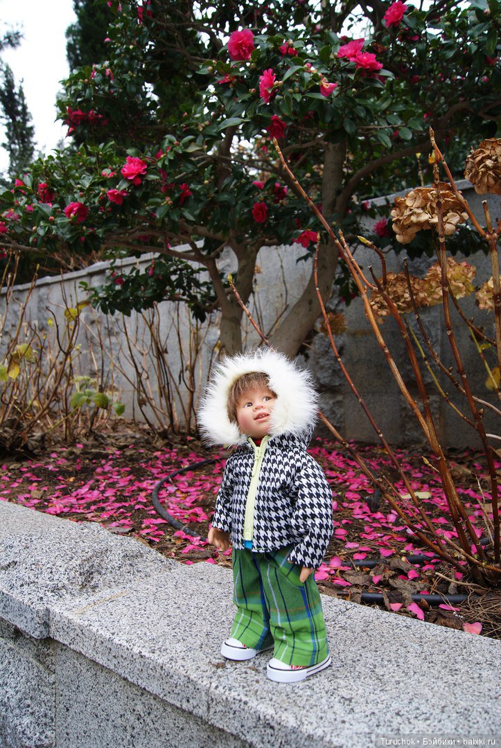 Первое море Тома или как мы зимний Крым покоряли (фото 10)