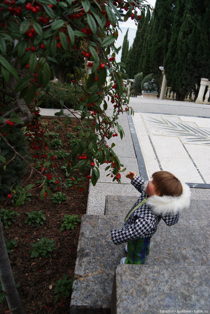 Первое море Тома или как мы зимний Крым покоряли