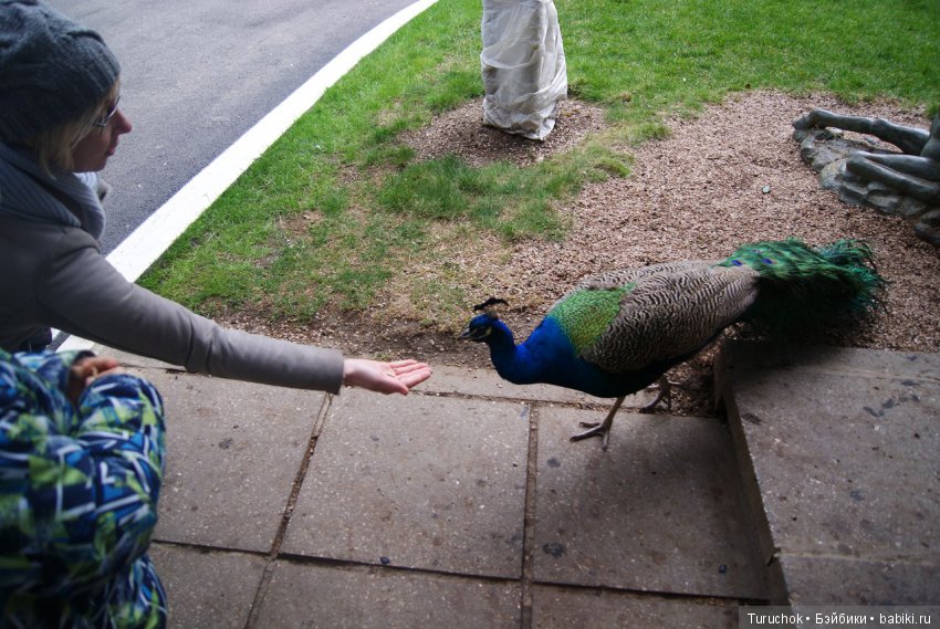 Первое море Тома или как мы зимний Крым покоряли