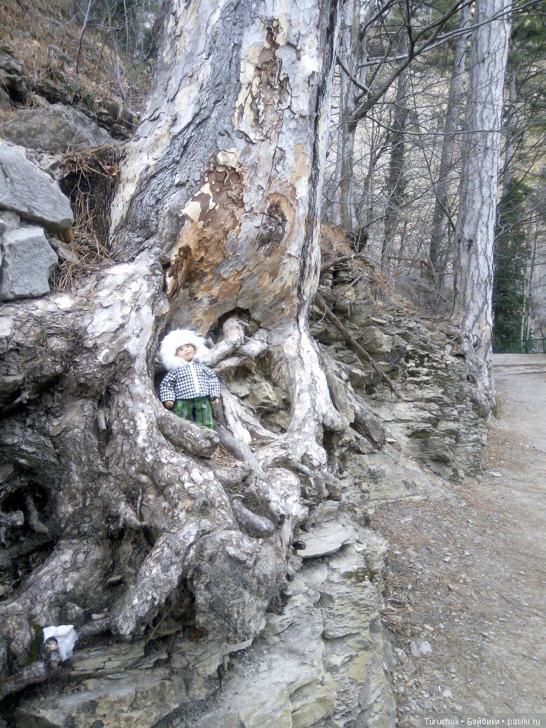 Первое море Тома или как мы зимний Крым покоряли