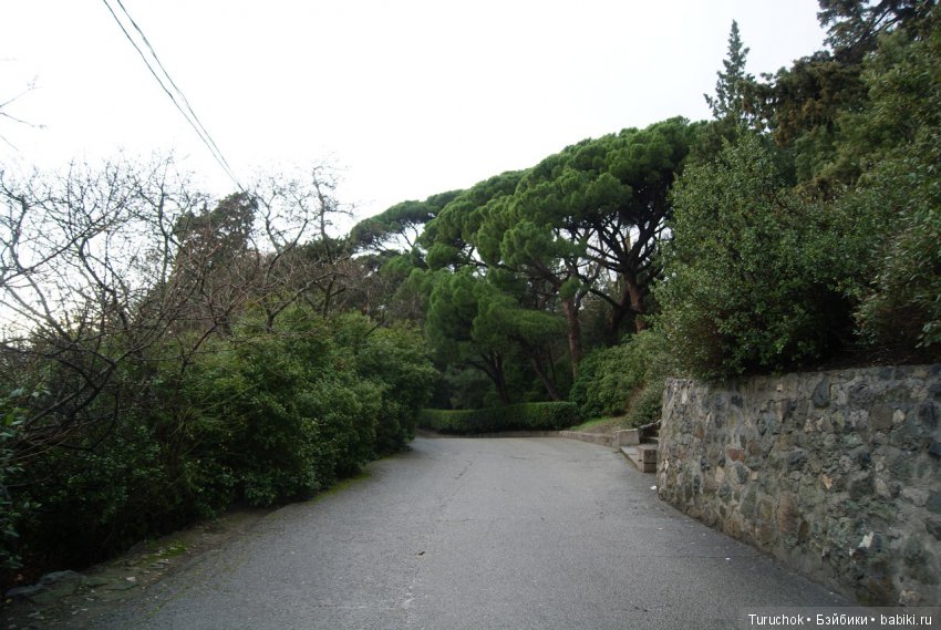 Первое море Тома или как мы зимний Крым покоряли