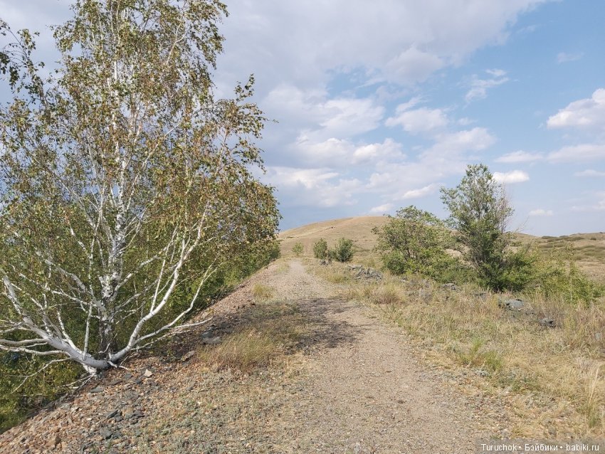 Аркаим - путь к свободе! Или волшебная фея в месте силы! Часть 1 (фото 4)