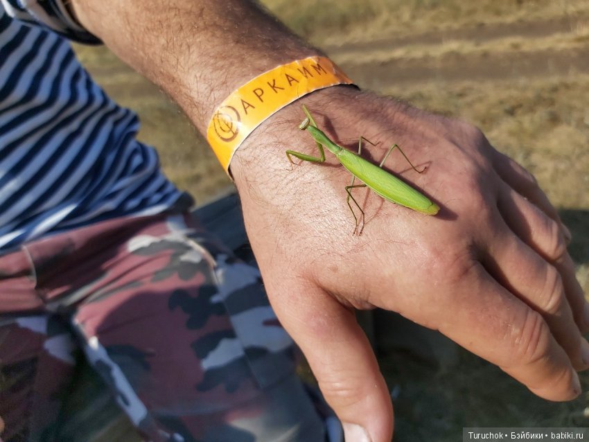 Аркаим - путь к свободе! Или волшебная фея в месте силы! Часть 2