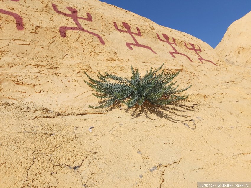 Аркаим - путь к свободе! Или волшебная фея в месте силы! Часть 2