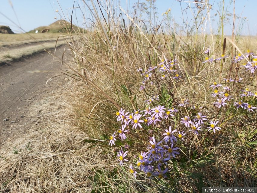 Аркаим - путь к свободе! Или волшебная фея в месте силы! Часть 2