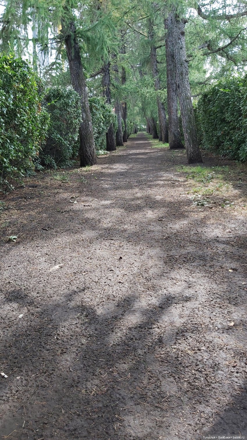 Фото проект "Бирюзовый август". Конная прогулка сестёр Paola Reina и Gotz