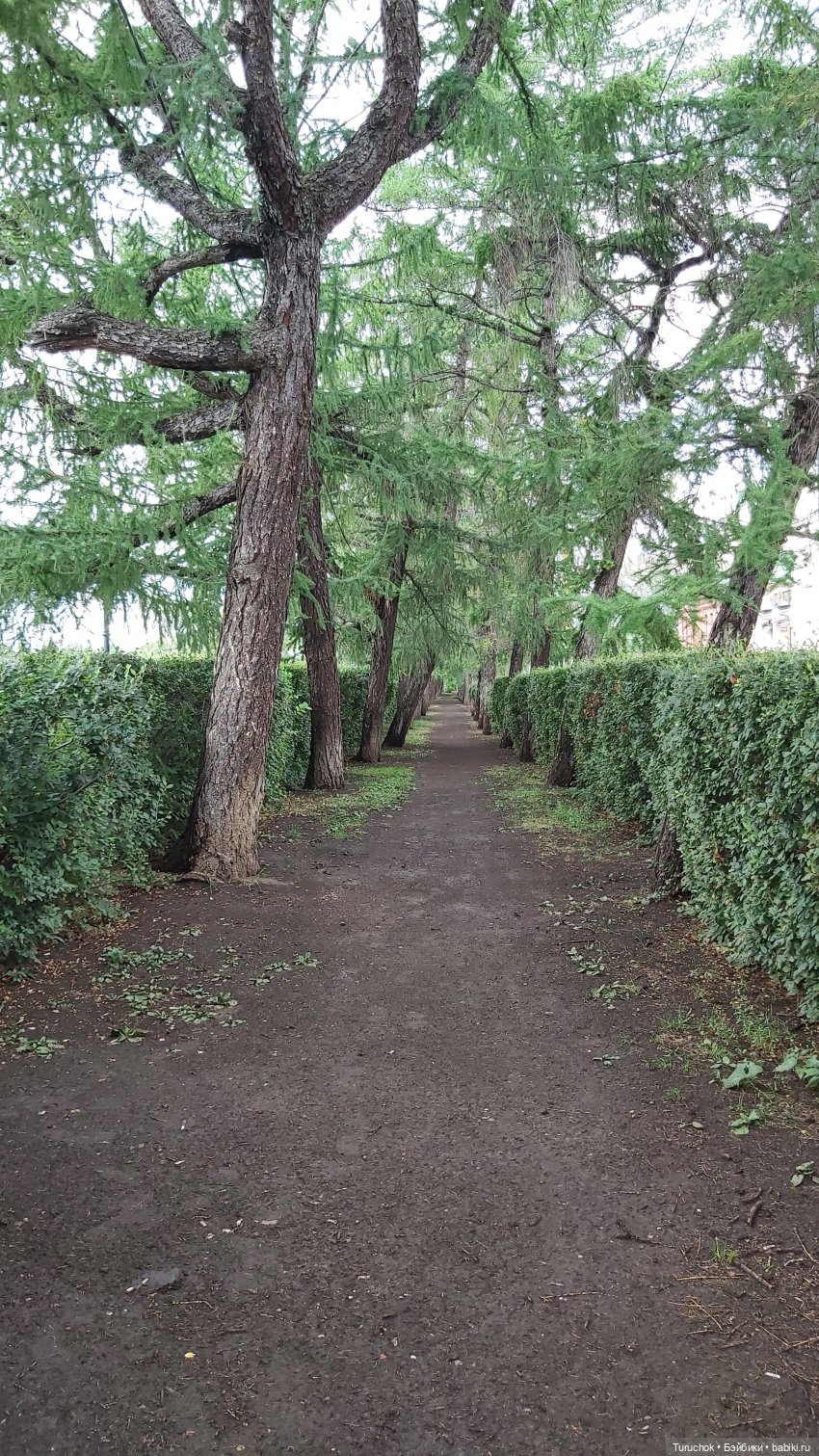 Фото проект "Бирюзовый август". Конная прогулка сестёр Paola Reina и Gotz