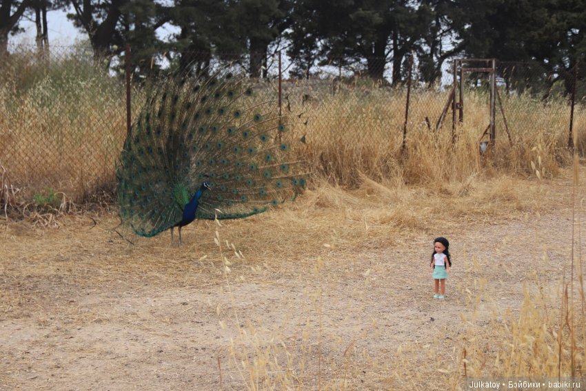 Кристина и Натали на греческом острове цветов Родосе