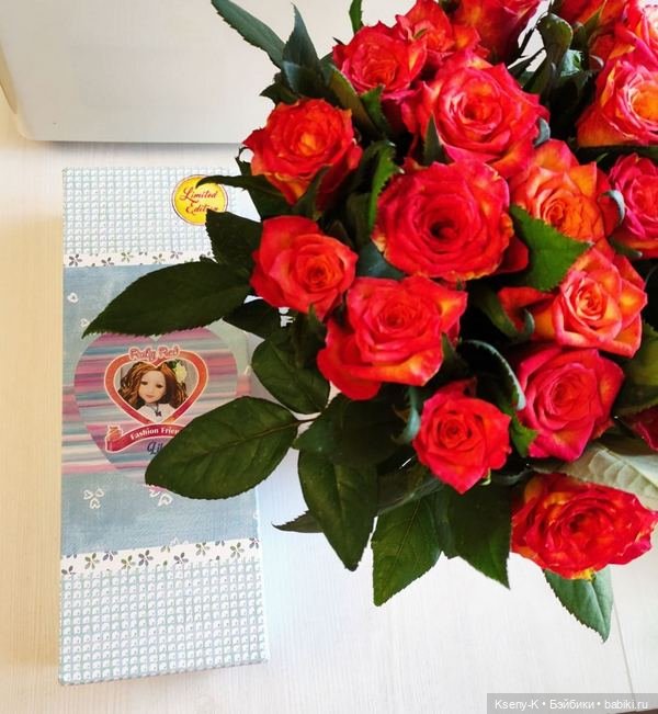 Лилу и 45 — Куклы Ruby Red (Руби Ред) Fashion Friends: Siblies (фото 3)