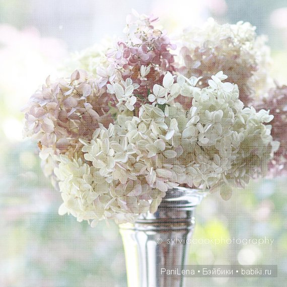 Цветы дамам