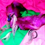 "Неоновый дракончик". Мастер-класс по созданию дракона из полимерной глины своими руками