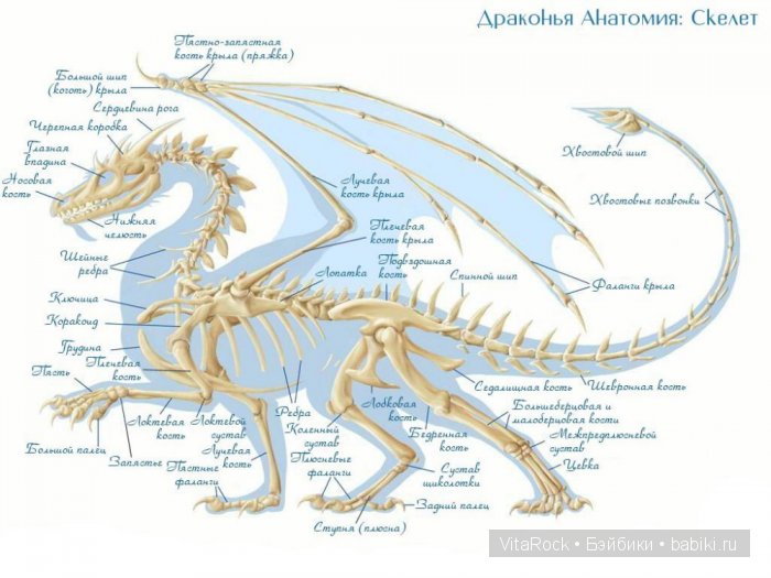 Дракон. Лепка. Полимерная глина. Фентази. МК.