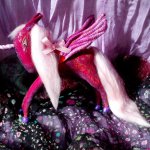 Но только лошади летают вдохновенно