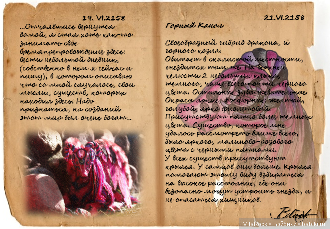 Горный Канол — Игрушки в смешанной технике (мех и глина): Арт (фото 6)