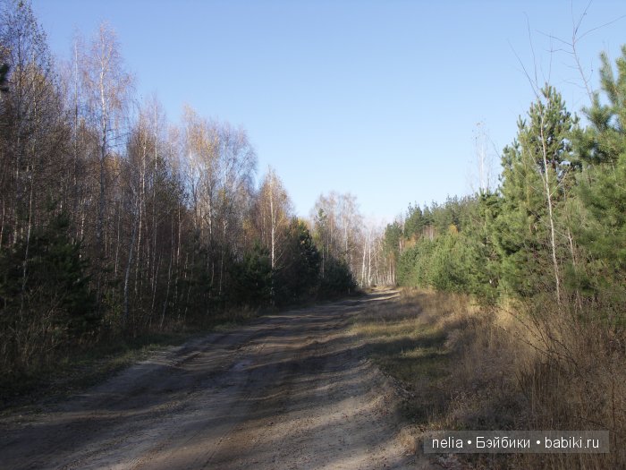 Мои куколки Эмми и Пеппи и небольшая прогулка по осеннему лесу