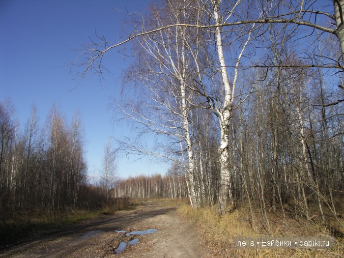 Мои куколки Эмми и Пеппи и небольшая прогулка по осеннему лесу