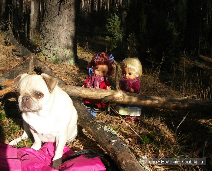 Мои куколки Эмми и Пеппи и небольшая прогулка по осеннему лесу