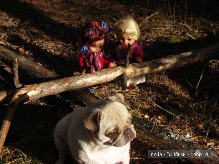 Мои куколки Эмми и Пеппи и небольшая прогулка по осеннему лесу