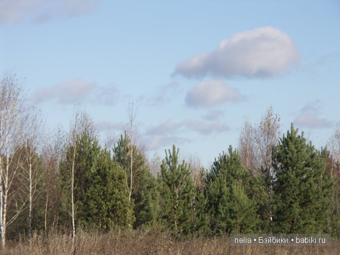 Мои куколки Эмми и Пеппи и небольшая прогулка по осеннему лесу