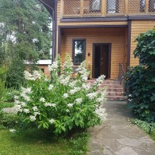 Для летнего вдохновения