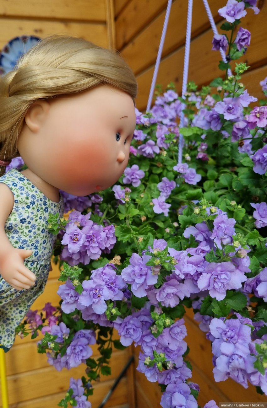 Как Мия Ватрушковна на дачу приехала (фото 3)