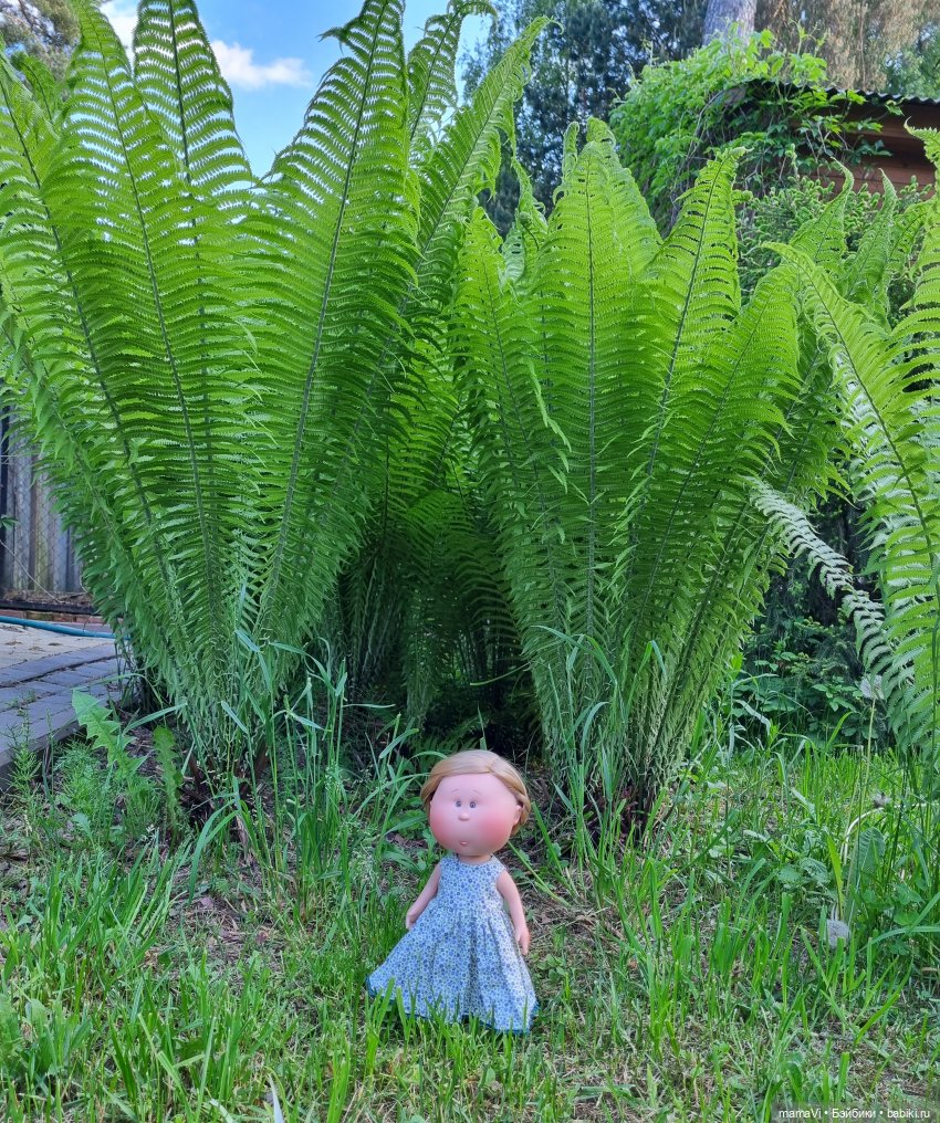 Как Мия Ватрушковна на дачу приехала