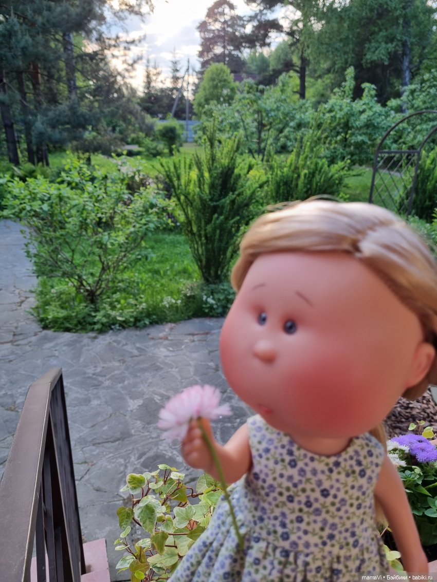 Как Мия Ватрушковна на дачу приехала (фото 5)