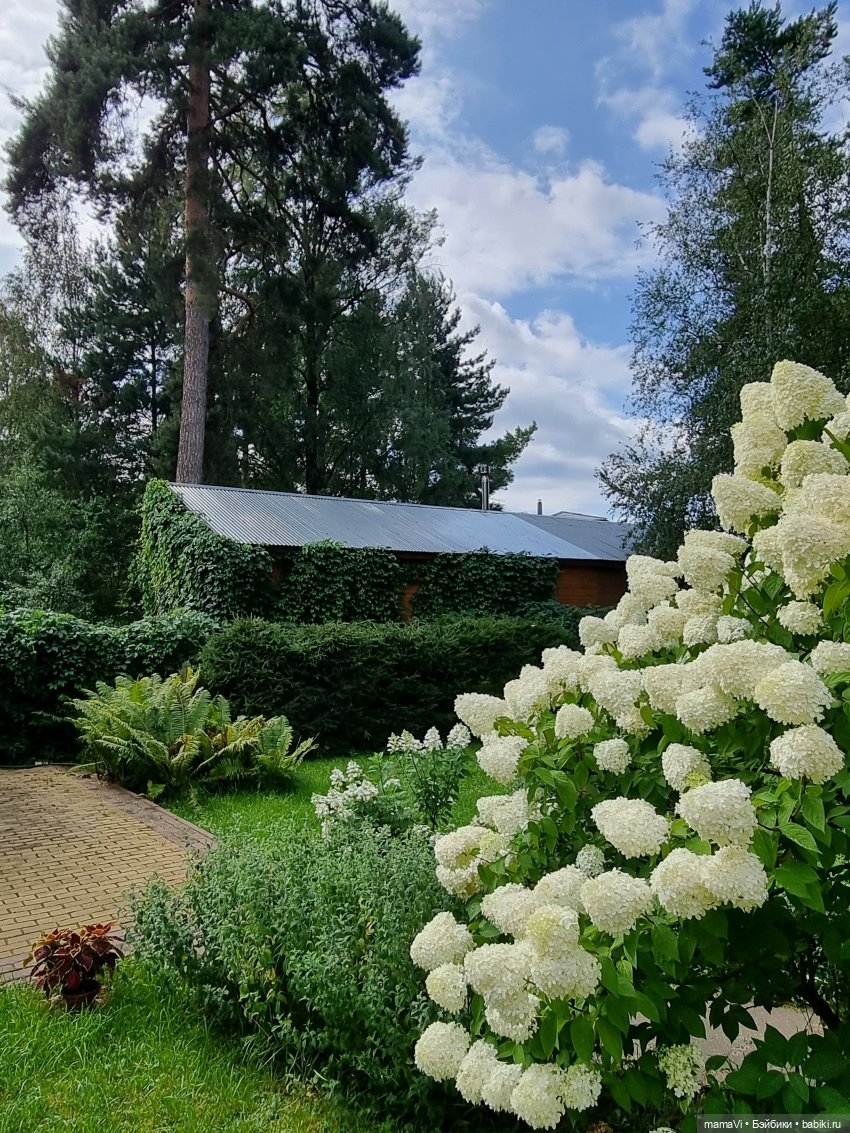 Бегом в сад, за Мией Ватрушковной (фото 3)