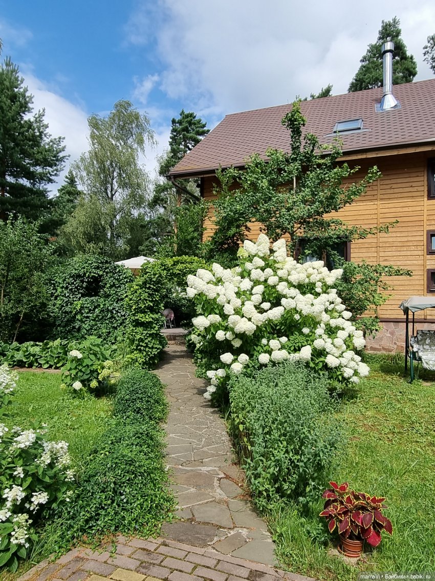 Бегом в сад, за Мией Ватрушковной (фото 2)