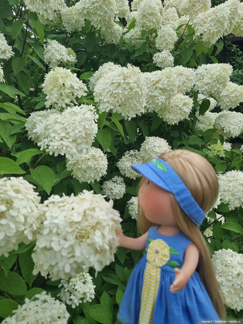 Бегом в сад, за Мией Ватрушковной (фото 4)