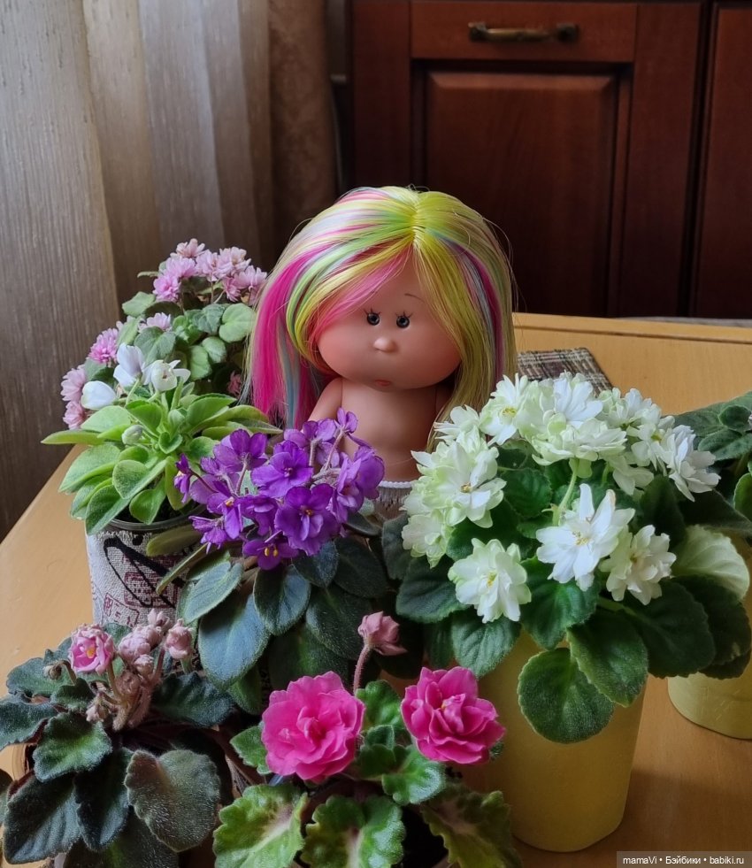 Как у нас поселилась Тюпа Лучикова