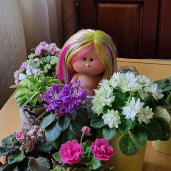 Как у нас поселилась Тюпа Лучикова