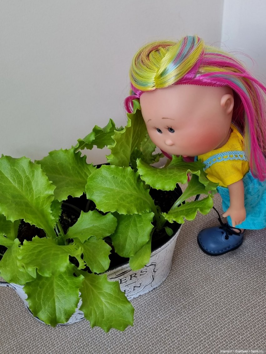 Один день из жизни Тюпы Лучиковой (фото 5)